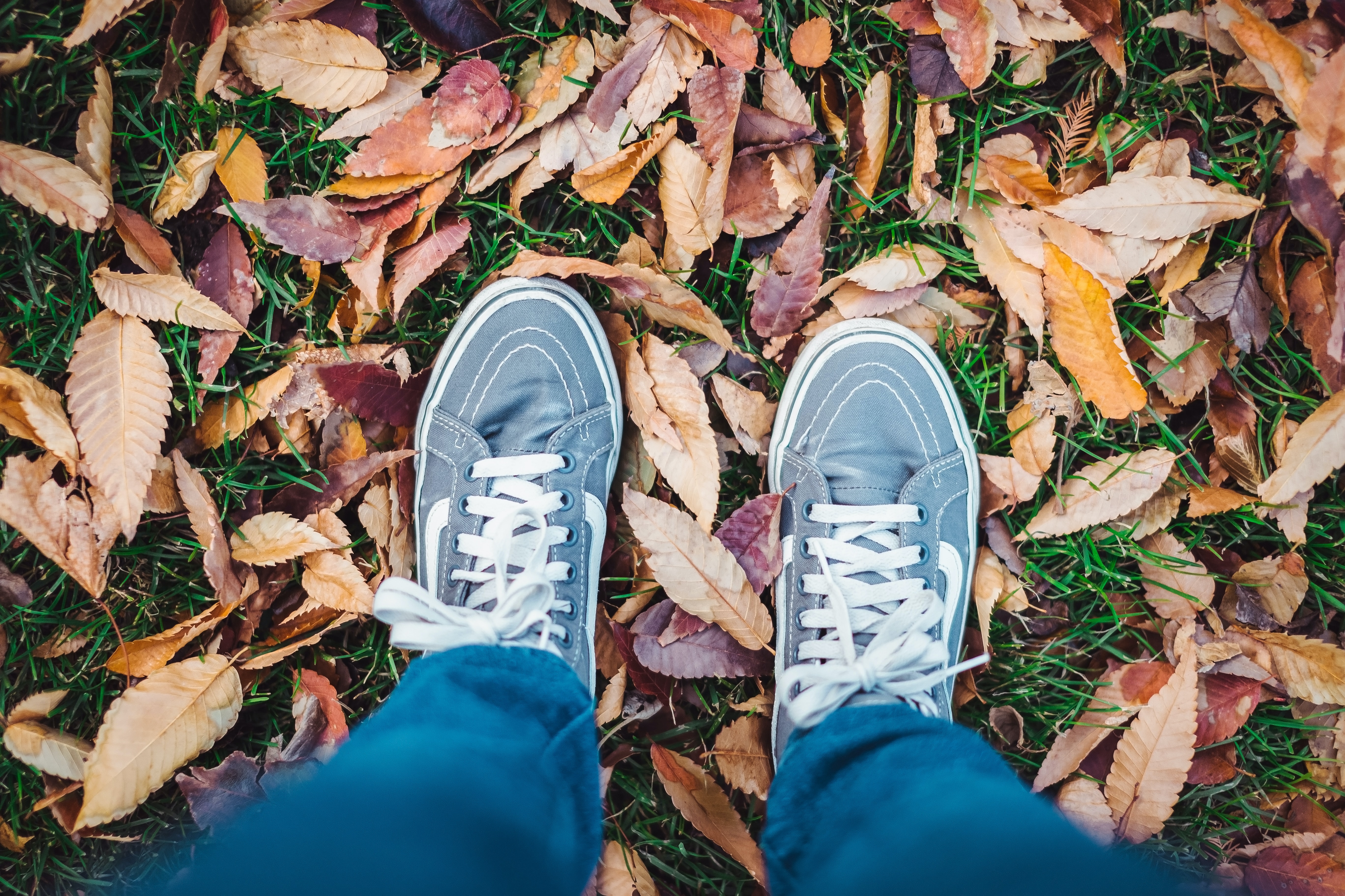 jessica-d-vega-J05J9v25l2Y-unsplash