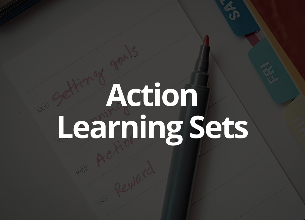Action Learning Sets